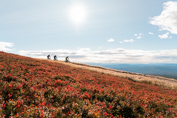 Bilde 4 av 6 i jobbannonse-galleriet