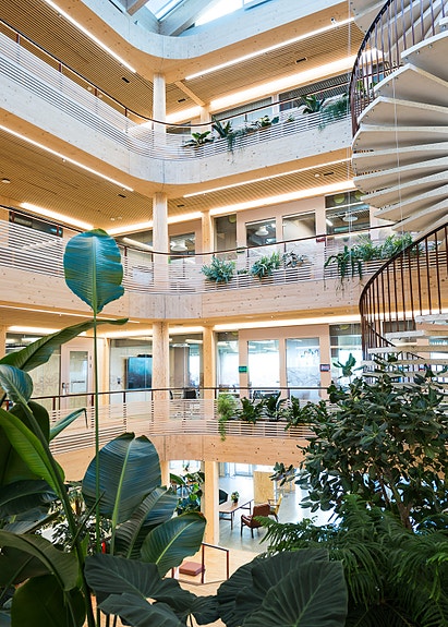 Bilde 6 av 10 i jobbannonse-galleriet