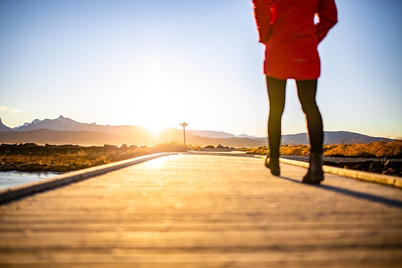 Bilde 2 av 3 i jobbannonse-galleriet