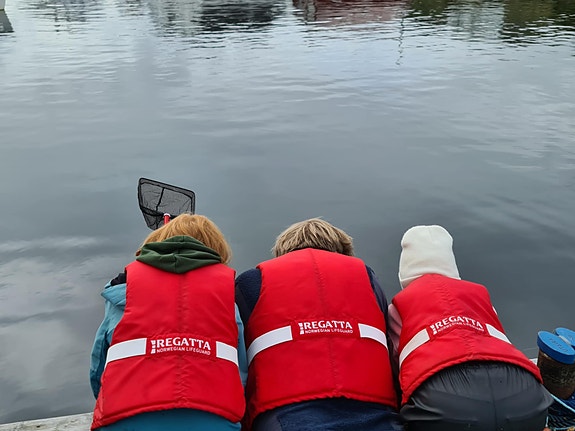 Bilde 6 av 10 i jobbannonse-galleriet