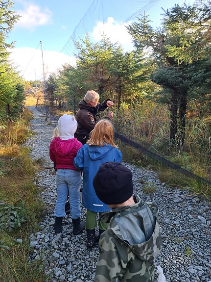 Bilde 4 av 10 i jobbannonse-galleriet