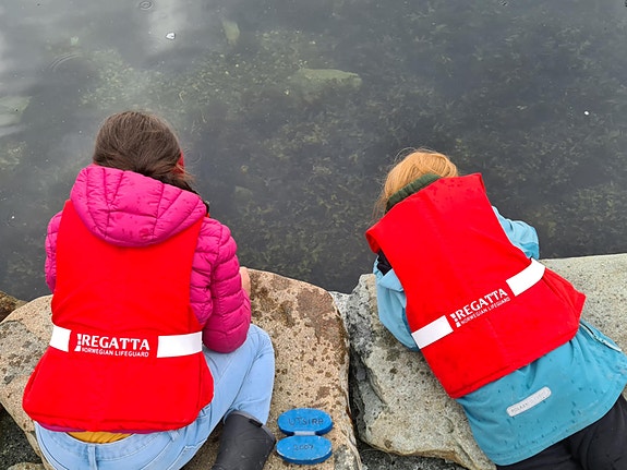 Bilde 7 av 10 i jobbannonse-galleriet