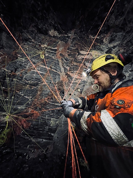 Bilde 3 av 5 i jobbannonse-galleriet