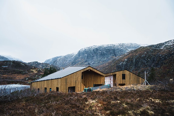 il våre nyeste prosjekter. Her fra byggingen av Turbohytta i Hunnedalen som skal stå klar i mars. Foto: Maren Tvedt