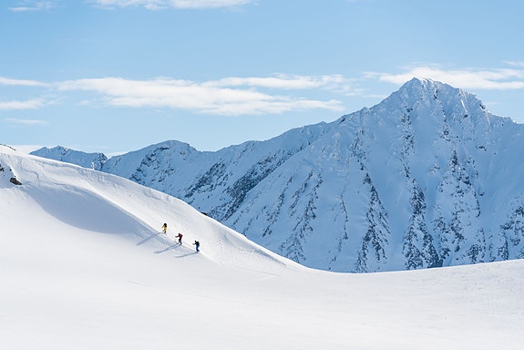 Bilde 1 av 1 i jobbannonse-galleriet
