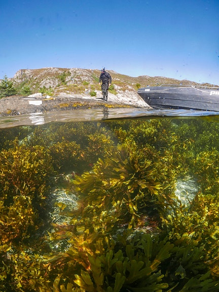 Bilde 8 av 8 i jobbannonse-galleriet