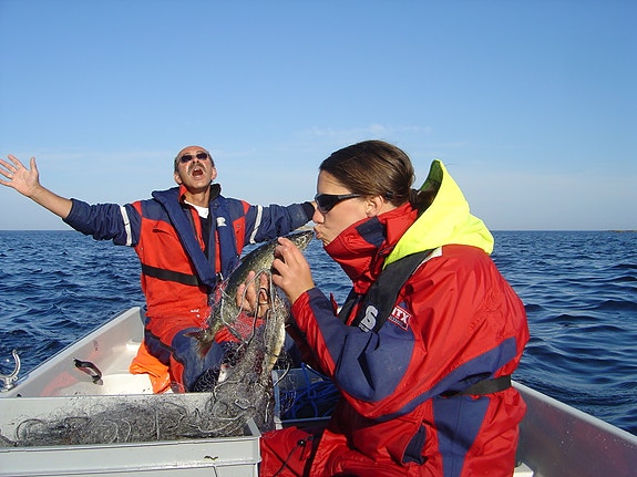 Bilde 5 av 8 i jobbannonse-galleriet