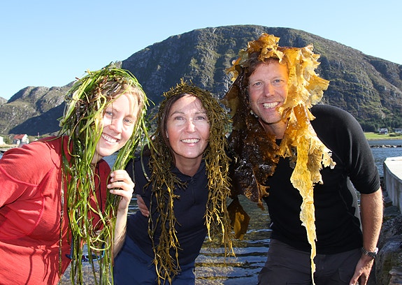 Bilde 7 av 8 i jobbannonse-galleriet