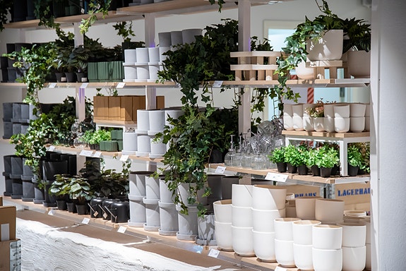 Bilde 1 av 4 i jobbannonse-galleriet