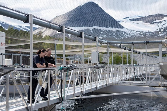 Bilde 4 av 7 i jobbannonse-galleriet