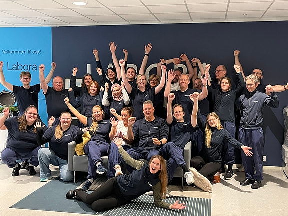 Bilde 2 av 5 i jobbannonse-galleriet