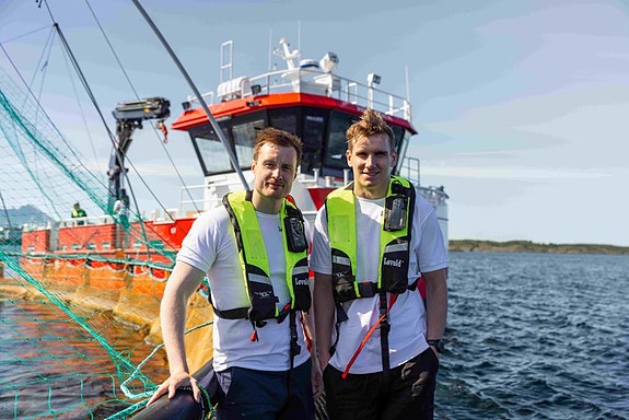 Bilde 1 av 5 i jobbannonse-galleriet