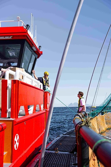 Bilde 2 av 5 i jobbannonse-galleriet