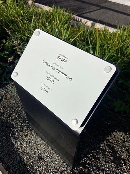 Bilde 4 av 7 i jobbannonse-galleriet