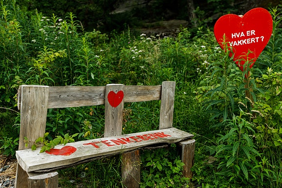 Bilde 3 av 5 i jobbannonse-galleriet