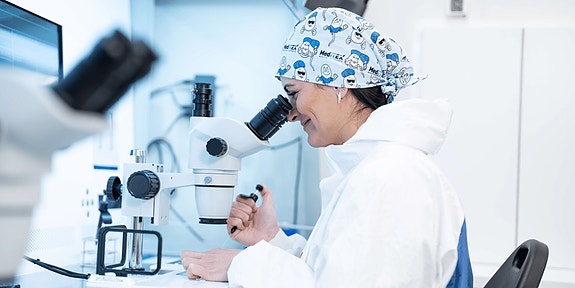 Bilde 1 av 4 i jobbannonse-galleriet