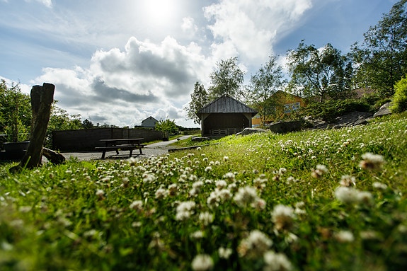 Bilde 1 av 5 i jobbannonse-galleriet