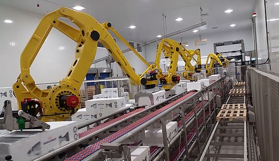 Bilde 3 av 4 i jobbannonse-galleriet