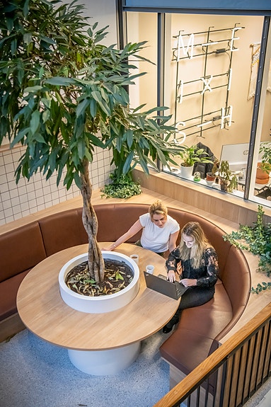 Bilde 1 av 1 i jobbannonse-galleriet