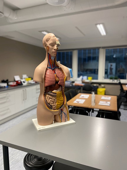 Bilde 3 av 3 i jobbannonse-galleriet