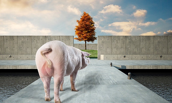 Bilde 2 av 2 i jobbannonse-galleriet