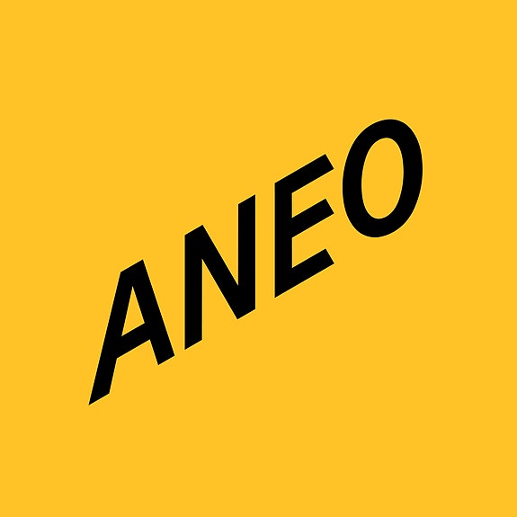 Aneo Retail AS logo
