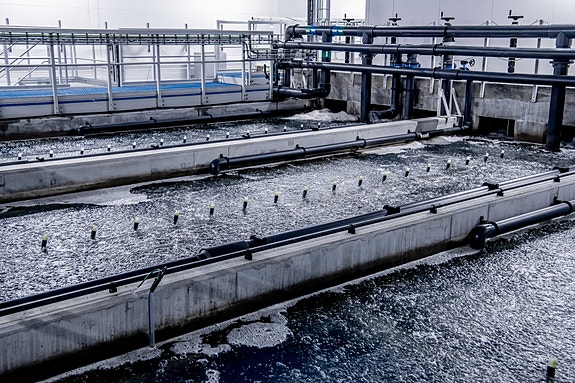 Bilde 1 av 4 i jobbannonse-galleriet