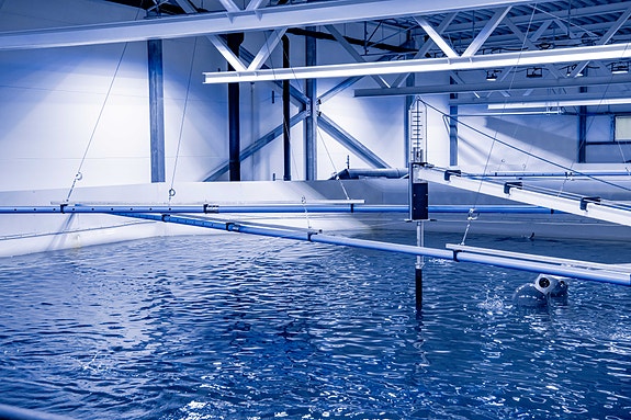 Bilde 3 av 4 i jobbannonse-galleriet