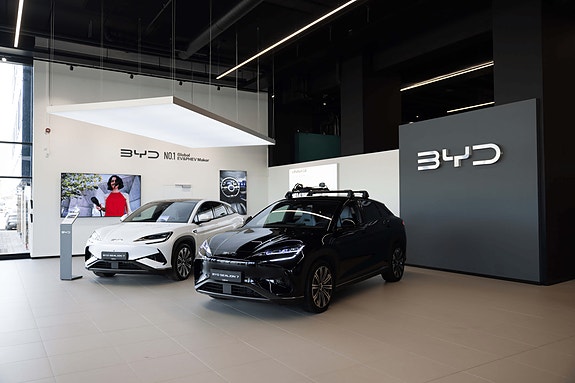 Bilde 1 av 1 i jobbannonse-galleriet