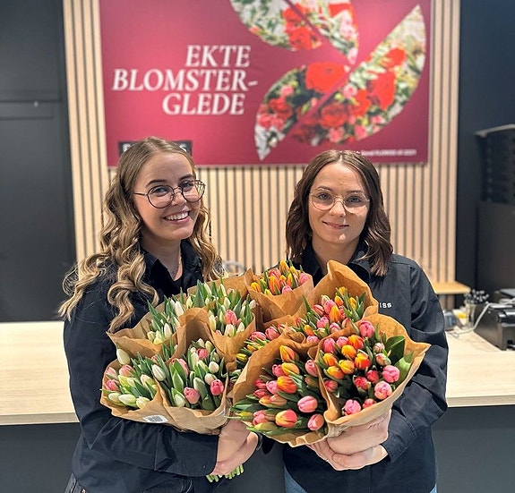 Bilde 2 av 4 i jobbannonse-galleriet