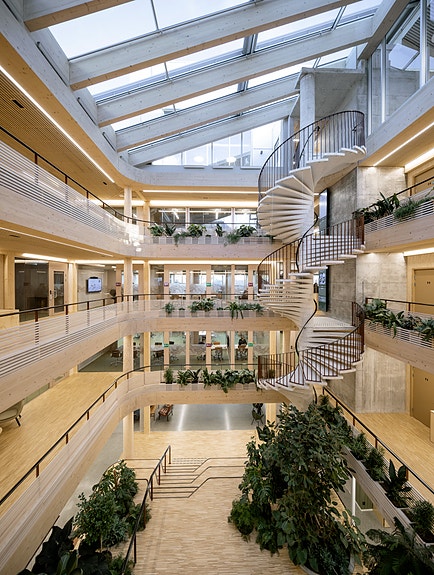 Eksempel på transformasjon av eksisterende bygg der løsning med trematerialer gir et lekkert atrium; Innoasis i Stavanger