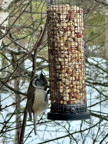 Bilde 1 av 1 i jobbannonse-galleriet
