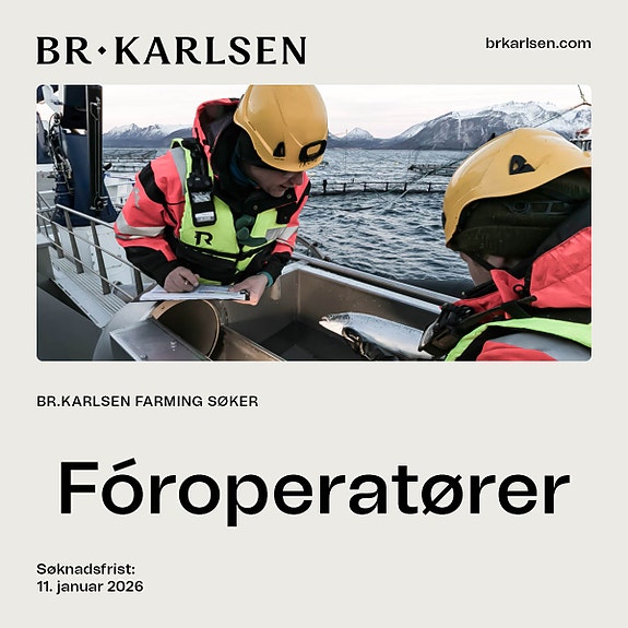 Bilde 1 av 1 i jobbannonse-galleriet