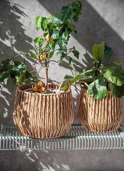 Bilde 3 av 3 i jobbannonse-galleriet