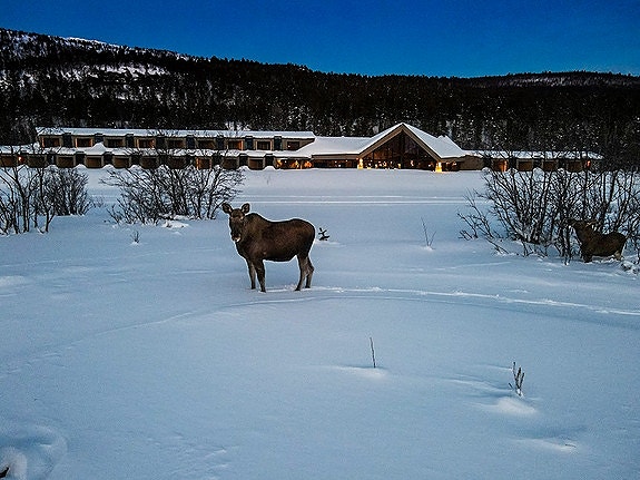 Bilde 7 av 7 i jobbannonse-galleriet