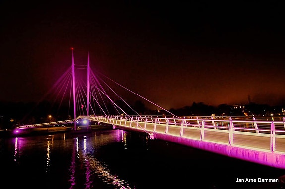 Fra Rosa Sløyfe aksjonen