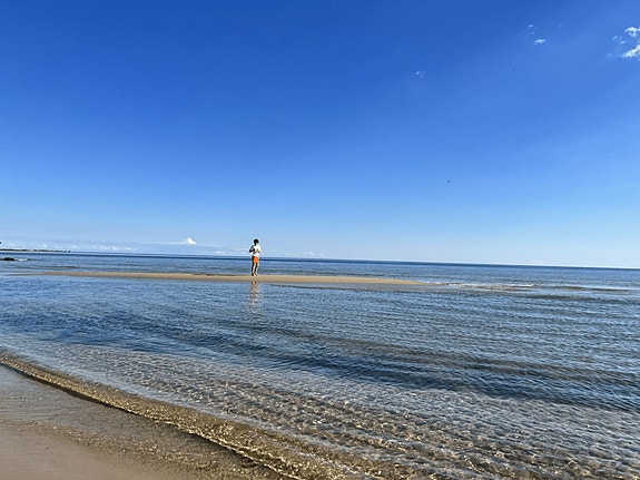 Bilde 1 av 1 i jobbannonse-galleriet