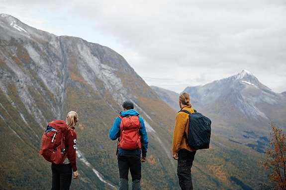 Bilde 1 av 1 i jobbannonse-galleriet