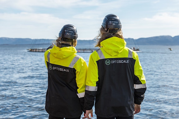 Bilde 1 av 3 i jobbannonse-galleriet