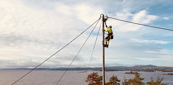 Bilde 3 av 4 i jobbannonse-galleriet
