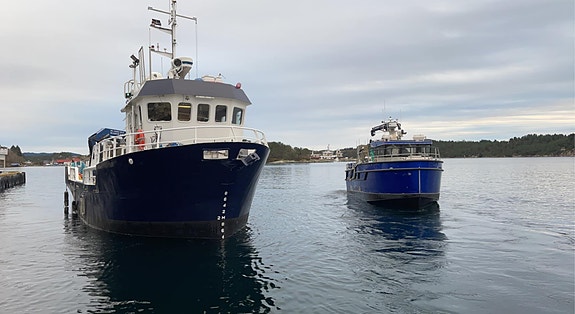 Bilde 1 av 1 i jobbannonse-galleriet