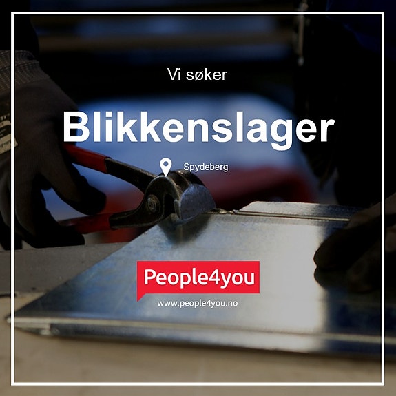 Bilde 1 av 1 i jobbannonse-galleriet