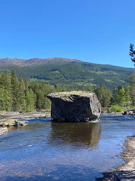 Bilde 8 av 9 i jobbannonse-galleriet