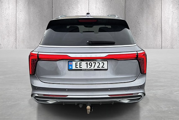 Hongqi E-HS9 14 of 20