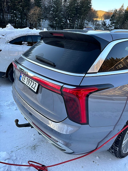 Hongqi E-HS9 4 of 20