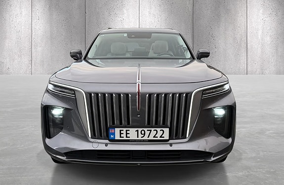 Hongqi E-HS9 13 of 20
