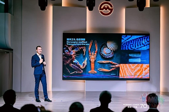 Bilde 6 av 6 i jobbannonse-galleriet