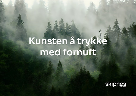 Bilde 7 av 7 i jobbannonse-galleriet