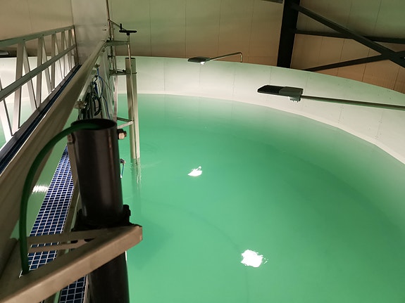 Bilde 4 av 5 i jobbannonse-galleriet