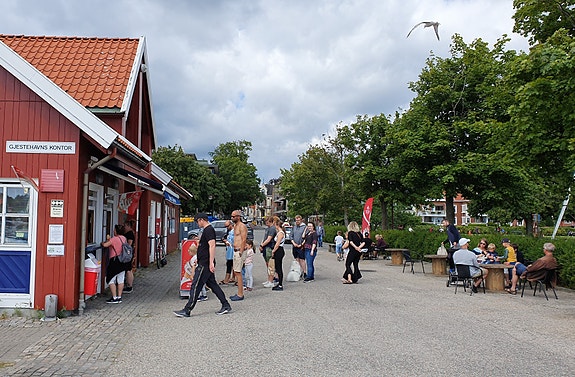 Bilde 3 av 3 i jobbannonse-galleriet